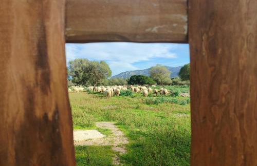 Cuile Casari - Foto 3