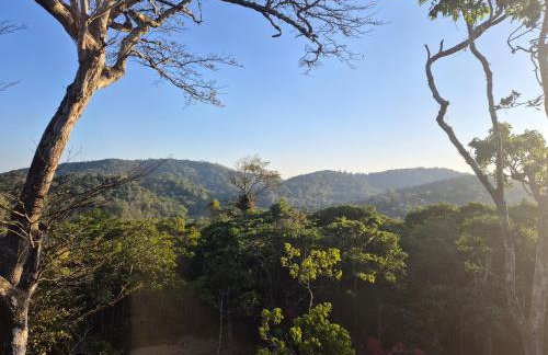 Casa da Árvore - Refúgio de Luxo com Jacuzzi e Vista para a Serra - Foto 55