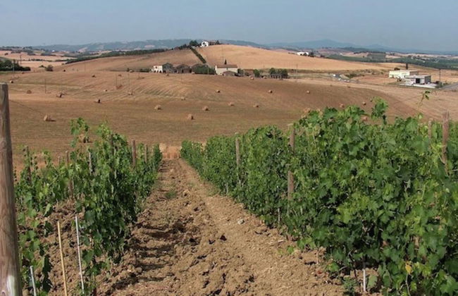 Charming Tuscan Farmhouse - Foto 36