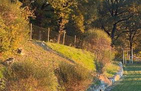 Casa Vacanze Il Puggio - Foto 45