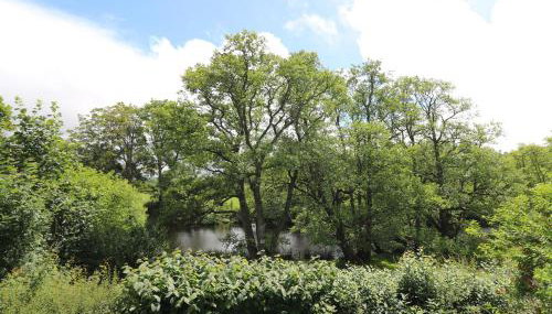 Nuthatch Cottage at Riverside Lodge - Foto 3