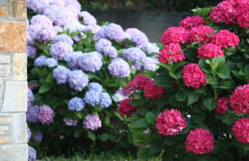 Tsagarada Stone House 1898 - Foto 69