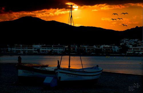 Apartament Cau del llop - Foto 51