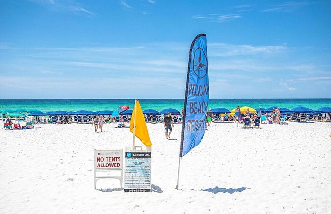 Pelican Beach 307 - Photo 40