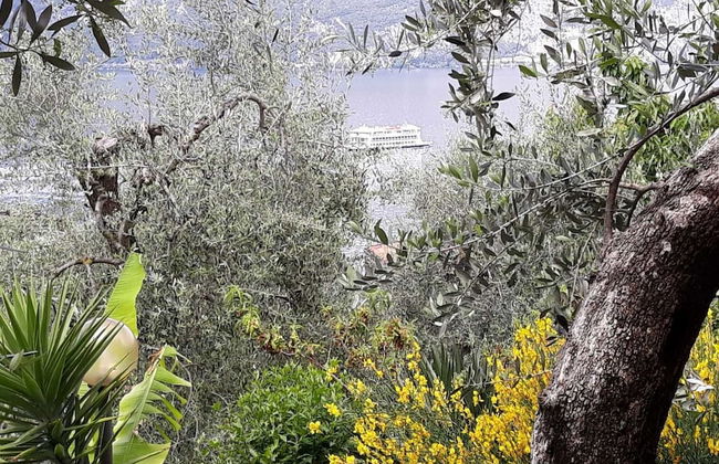 Casa Valenti - Photo 26