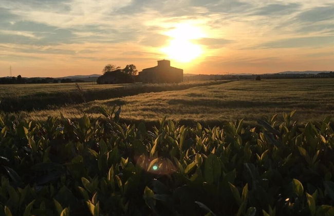 Agrisalotto - Foto 38