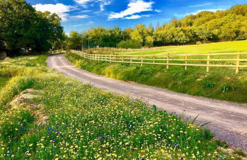 Blackdown Views - New 6 Bedroom Eco House - Foto 25