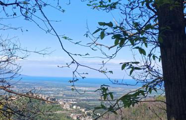 Casa Pernice - Foto 11