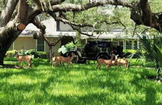 Lake house to relax and rest - Foto 23