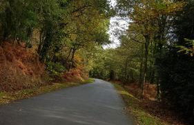 BELLE VISNONIA meublé de caractère Sud Morbihan - Foto 11