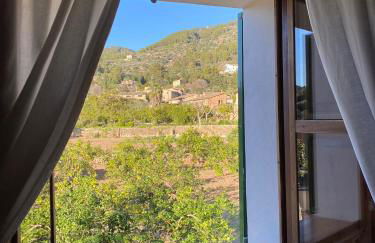 Can Domingo - Foto 18