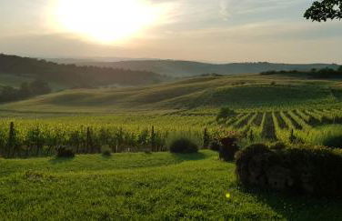 Agriturismo Bagnaia - Foto 17