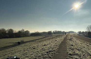 Michaels Elbtraum - Foto 14