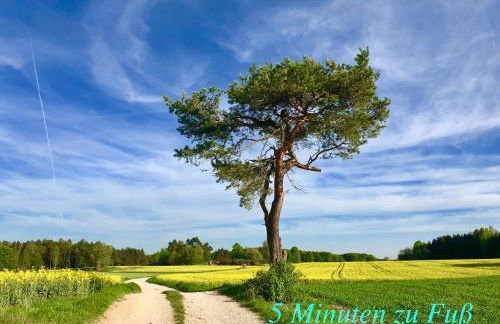 Enjoy Hiking - Foto 37