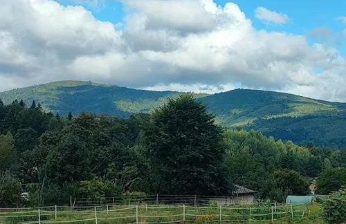 Urocze Apartamenty - Foto 11