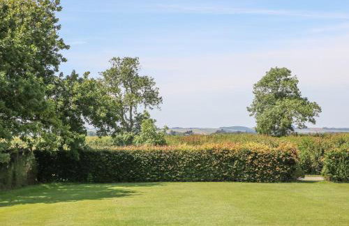 Kingfisher - Foto 18