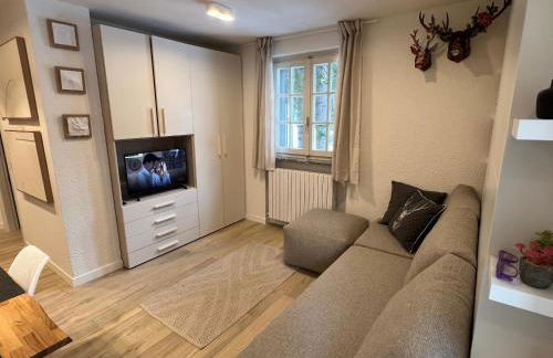 Rosina appartamento Madesimo centro - Foto 28