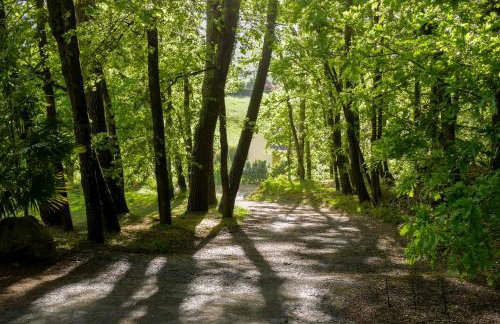 Studio cosy perché dans les arbres au coeur du Périgord proche Sarlat - Foto 17