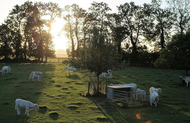 Gîte- La Ferme des Chataigniers - Foto 12