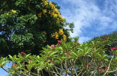 Chácara Verzani - Foto 75