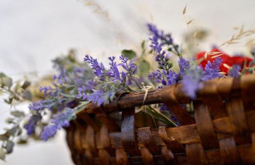 REFÚGIO DO RAPOSO/CASA DENEB (CC) - Foto 30