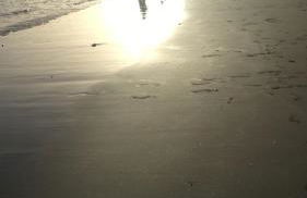 Das blaue Haus - Foto 26