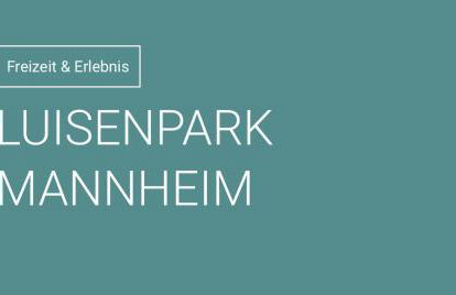 Zum Sterngässchen - Foto 74