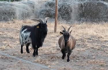 Tapada das Carvalhas - Foto 42