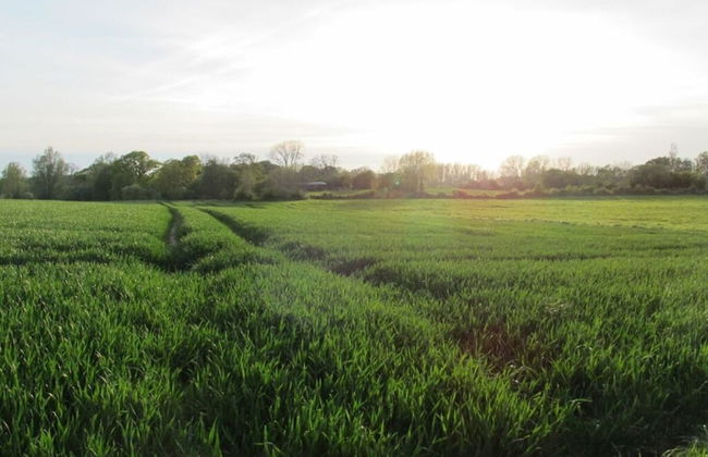 Schwanen Herz Comfortable Holiday Residence - Foto 12