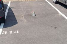 Studio village naturiste vue sur port nature 7 - Foto 15