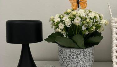 Studio Δωμάτιο - Foto 2