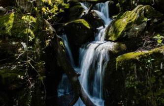 Rustic Chic Alabama Cabin w Loft Fire Pit Pet Friendly Fenced Yard Lake Guntersville - Coco Chateau - Foto 67