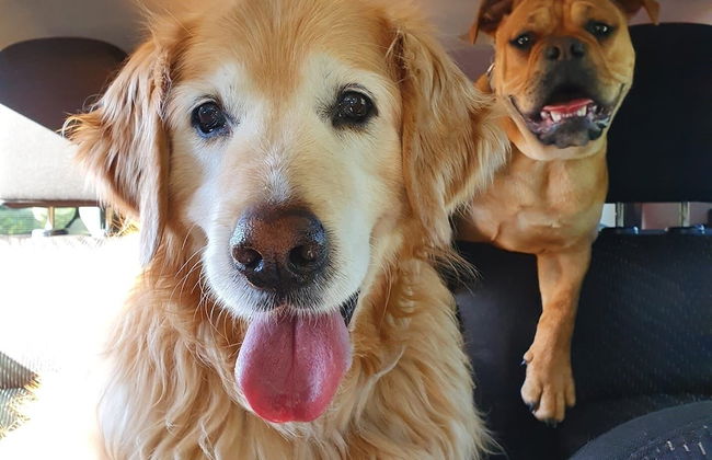 Holiday Lifestyle Henty Bay Portland - Foto 21