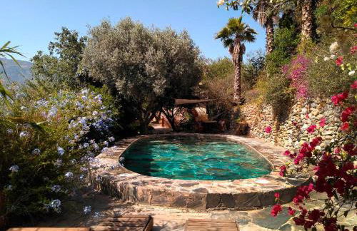 Casa Champasak - Foto 42