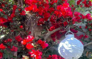 Blue Dream - Amalfi Coast - Foto 5