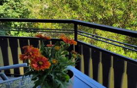 Bachnixe 1 - Foto 15