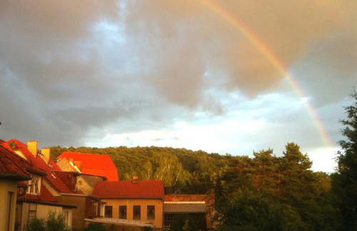 Castrum Bucowe - Foto 8