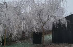 Czarnydomek - Foto 33