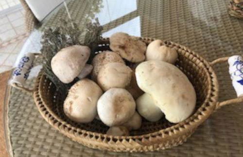 Coqueto apartamento en Valdelinares - Foto 24