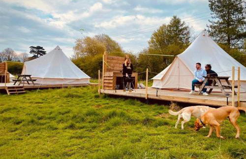 Walltree House Glamping - Glamping experience - Photo 3
