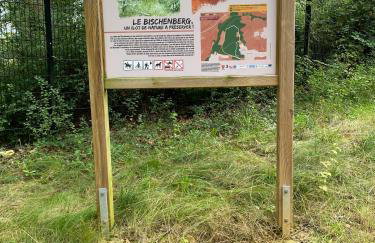 Gîte au Pied du Bischenberg - Foto 38