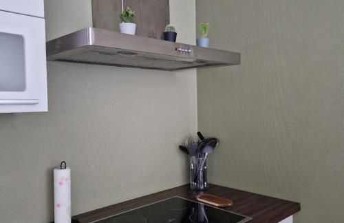 Spacieux T3 lumineux avec balneo à 5min de la gare - Foto 9