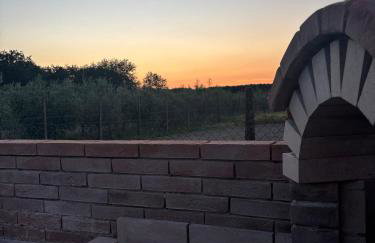 Alloggio Turistico Trasimeno II Castiglione Del Lago - Foto 40