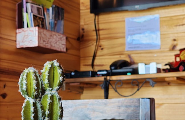 Cabañas Alechen - Photo 25