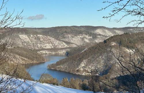 Rursee Eifel-Chalet mit Seeblick und Wellnessbereich - Foto 27