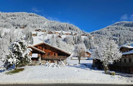 Demi-Chalet Vadel La Panthiaz 15 Pers 5 chambres - Foto 53