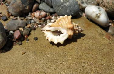 Vacanza in Ogliastra - Foto 45