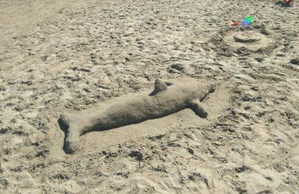 360 Panorama House - Gazing at Horizon and the Stars of the Galaxy in the night - Fresh Cool breeze most of the time - just 7 min from the beach - Foto 54