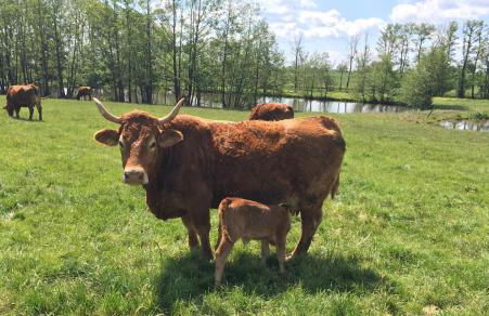 Ferienwohnung Schwabenhof - Foto 14