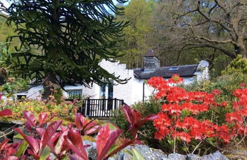 Dove Cot country cottage Ambleside - Foto 32